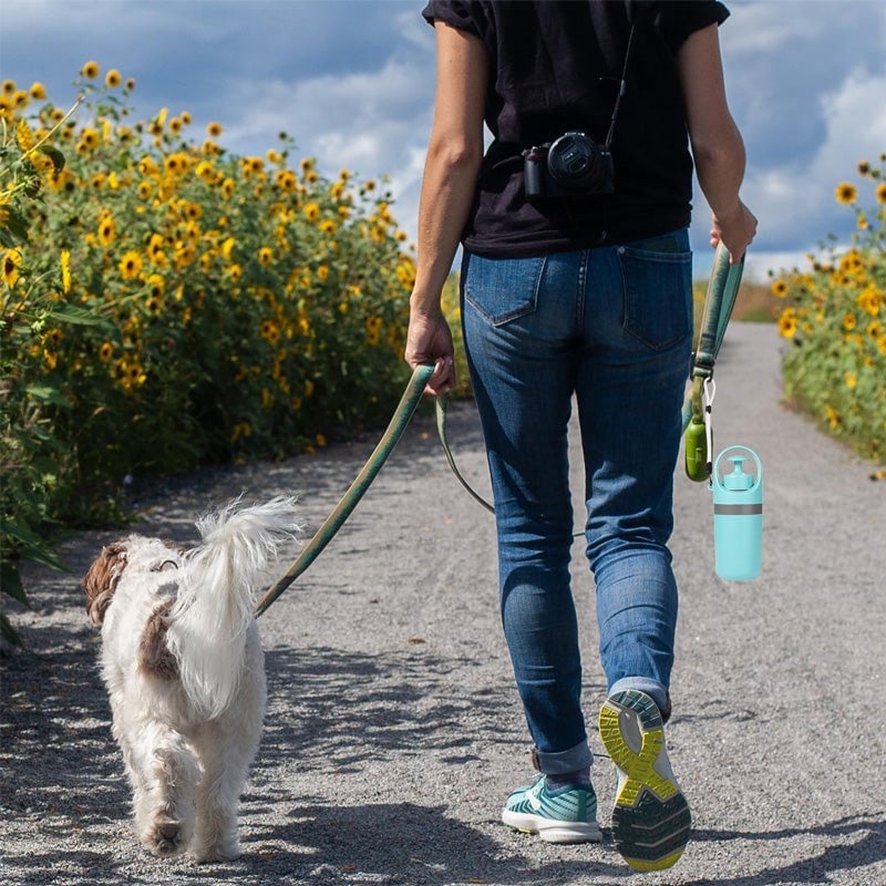 Tragbare Haustier-Kotzange