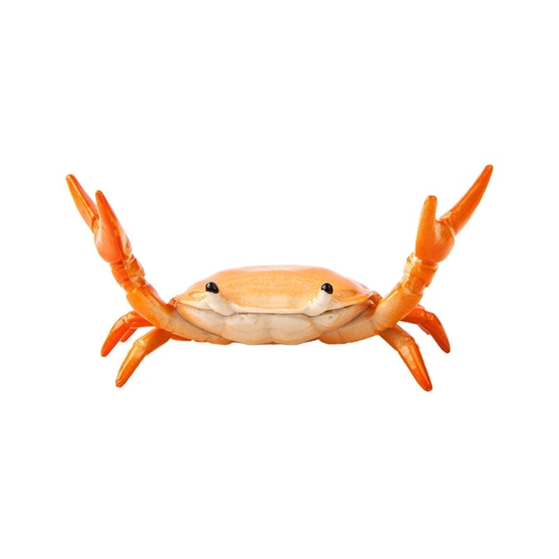 🦀Krebs beim Gewichtheben Stiftehalter
