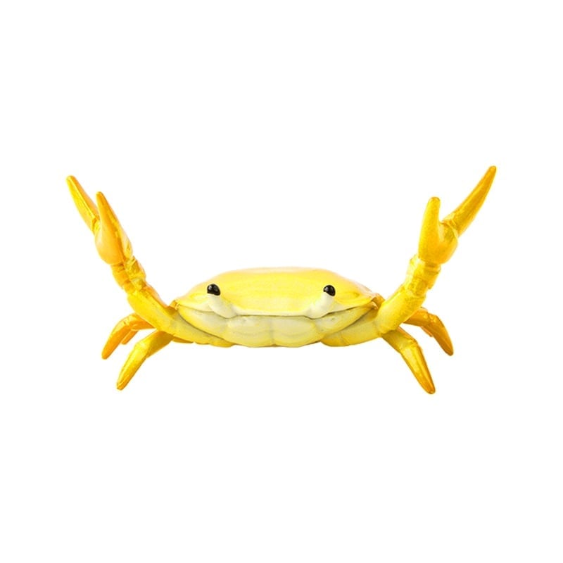 🦀Krebs beim Gewichtheben Stiftehalter