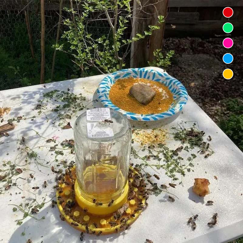 Bienenfutterstation für normale Einmachgläser