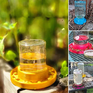 Bienenfutterstation für normale Einmachgläser