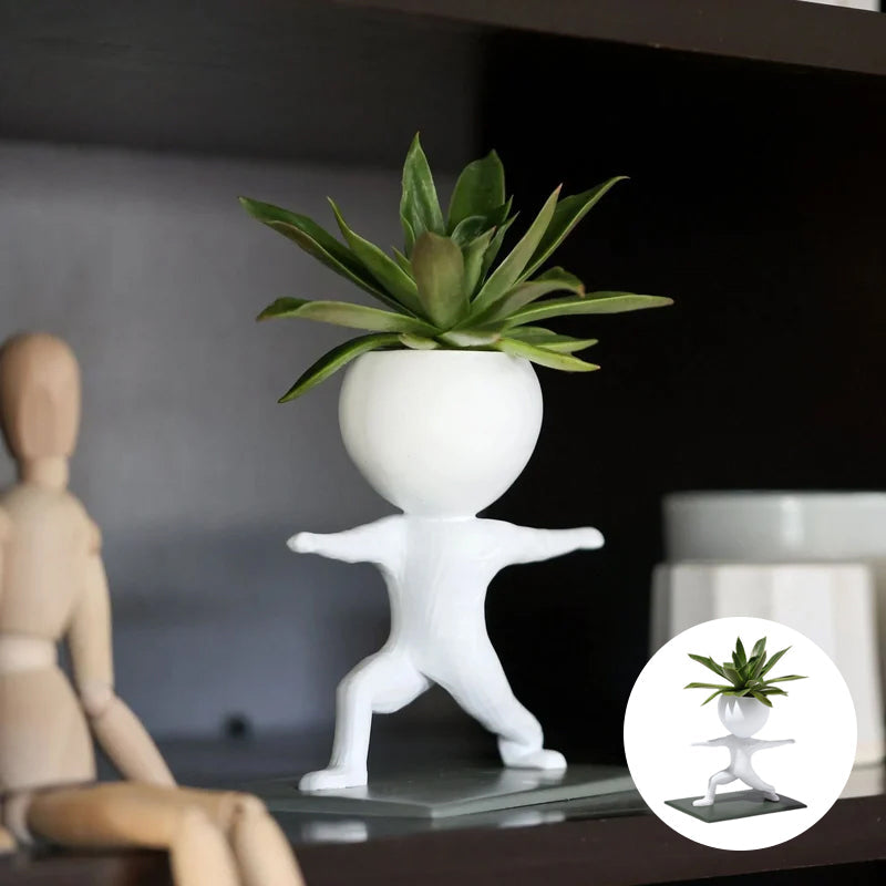 Sportliche Sukkulenten-Topfpflanzen