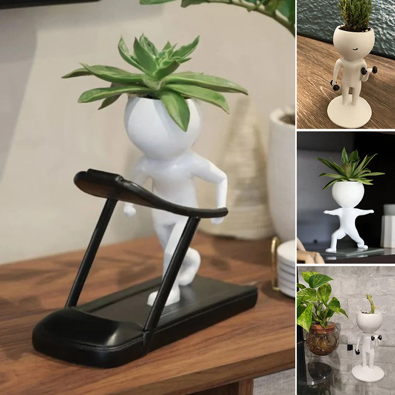 Sportliche Sukkulenten-Topfpflanzen