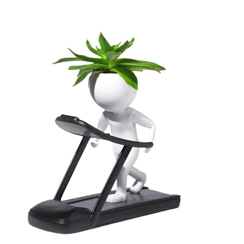 Sportliche Sukkulenten-Topfpflanzen