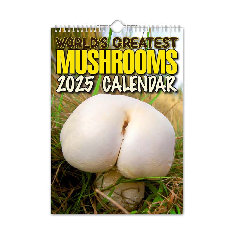 Kalender der schmackhaftesten Pilze der Welt