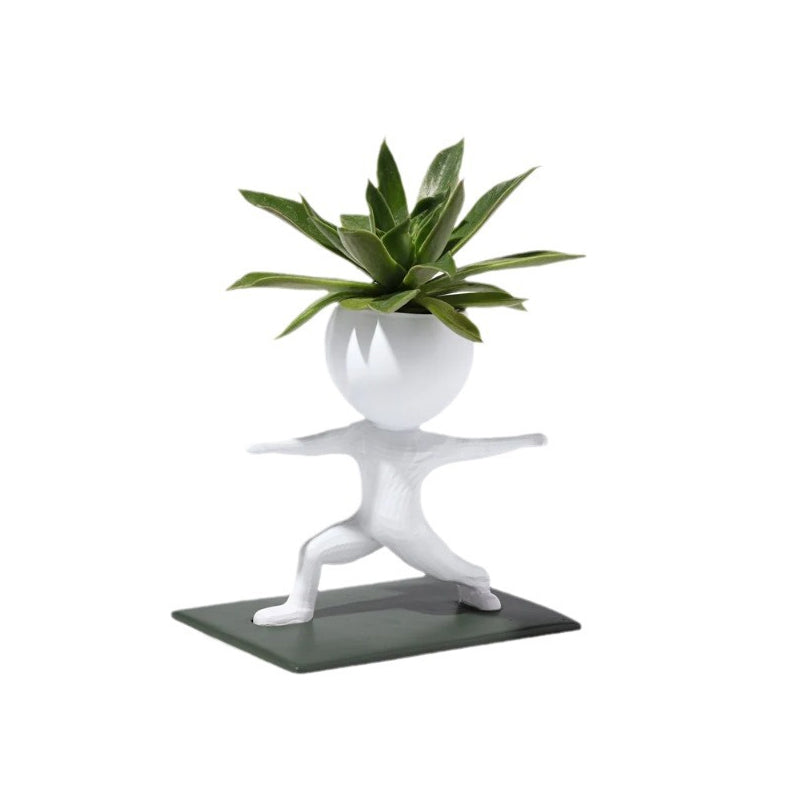 Sportliche Sukkulenten-Topfpflanzen