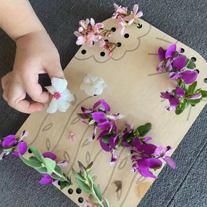 Blumen- und Blattsammelbretter