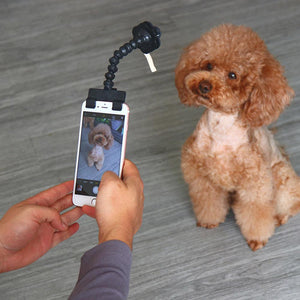 Schönes Haustier Selfie-Stick