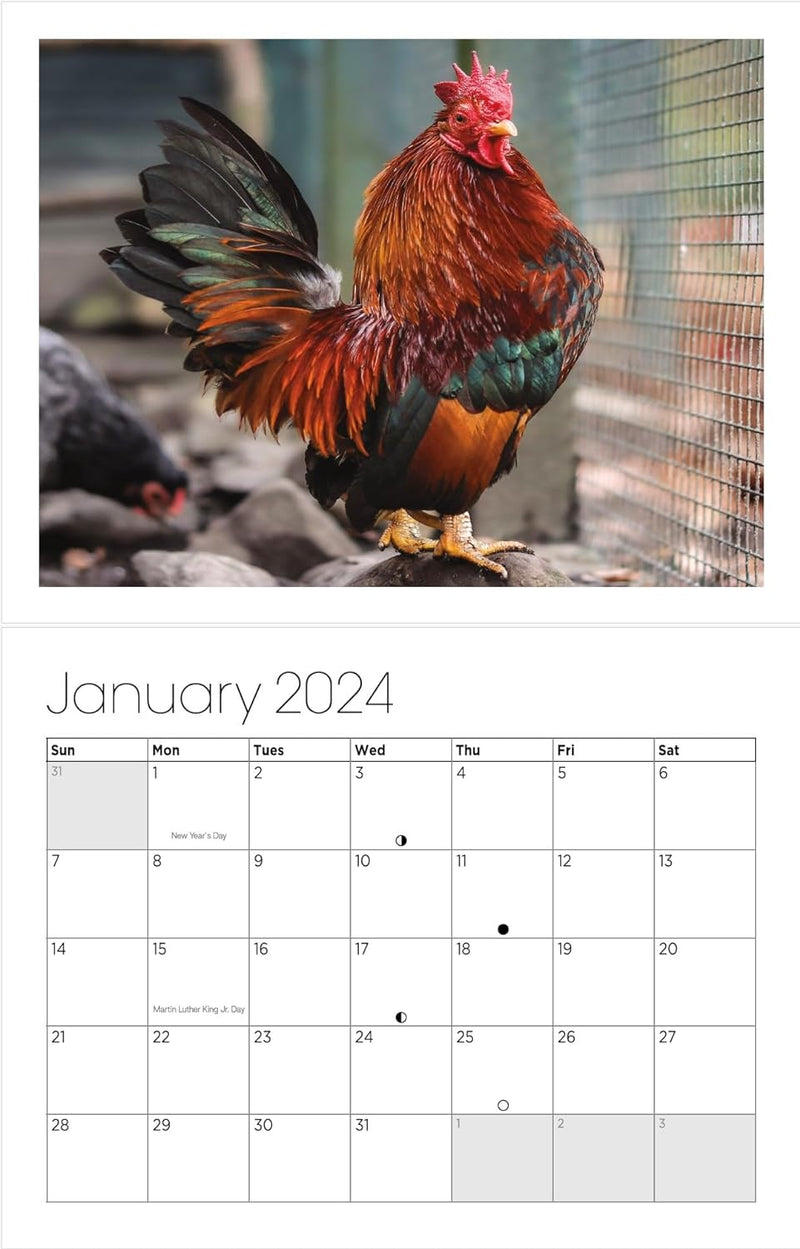 Wandkalender 2024 – eine stilvolle Sammlung von Hahnfotos