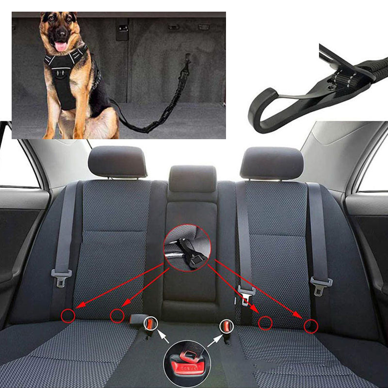 Autosicherheitsgurte für Haustiere