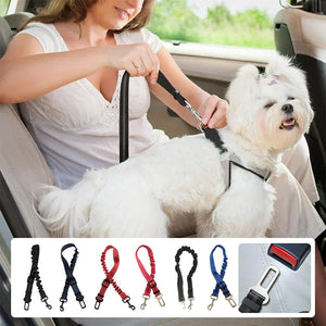 Autosicherheitsgurte für Haustiere